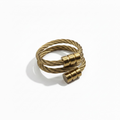 The Anchor Ring